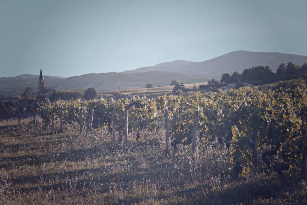 Paysage Beaujolais
